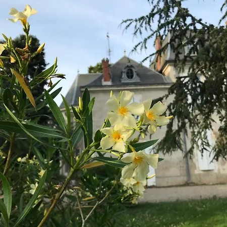 Manoir La Bordeneuve * Villeneuve-sur-Lot